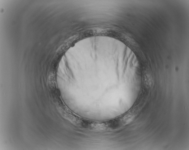 X0000053090419200508012037