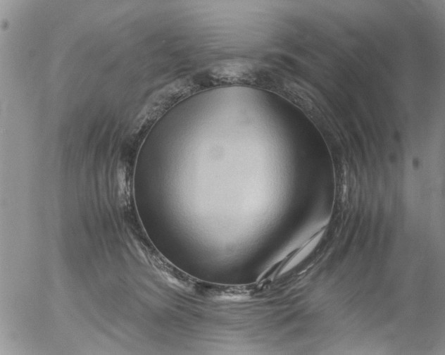 X0000053090420200508012037