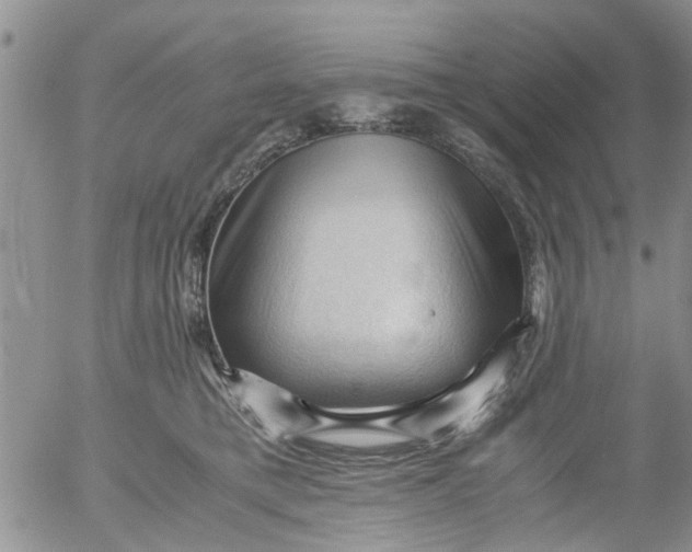 X0000053090421200508012037