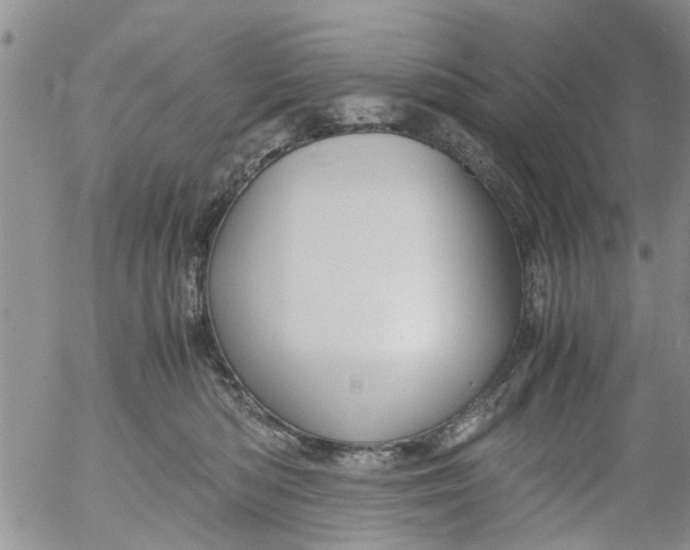 X0000053090422200508012037