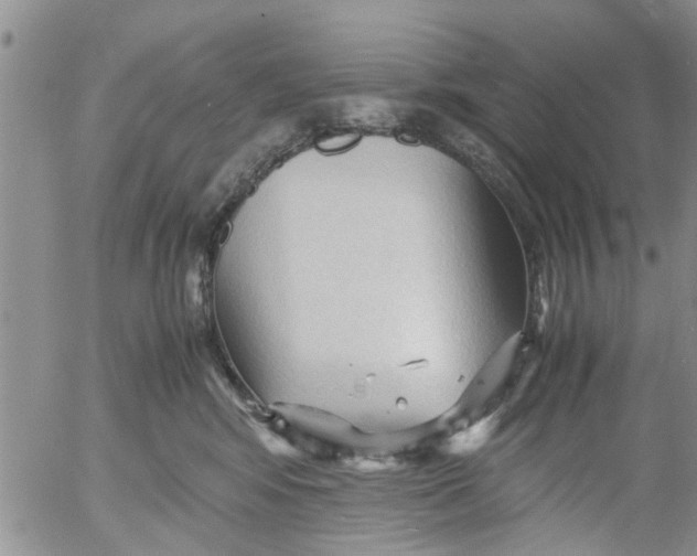 X0000053090424200508012037