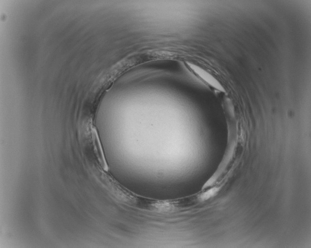 X0000053090425200508012037