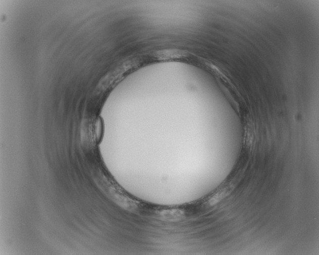 X0000053090426200508012037