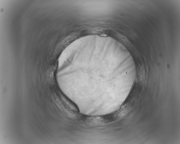 X0000053090427200508012037