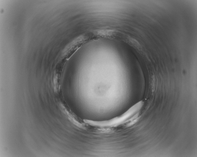 X0000053090428200508012037