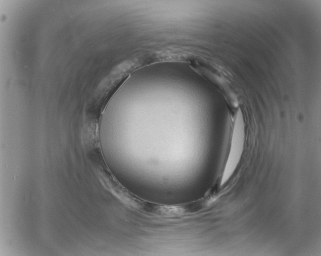 X0000053090429200508012037