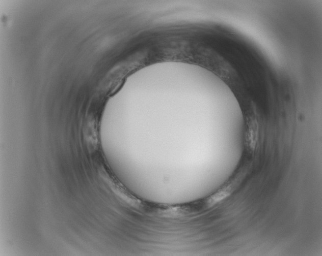 X0000053090430200508012037