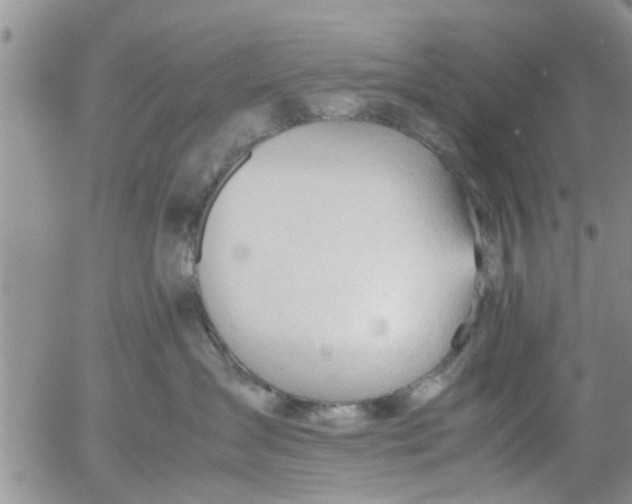 X0000053090431200508012037