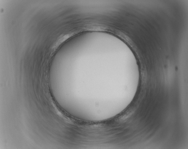 X0000053090433200508012036