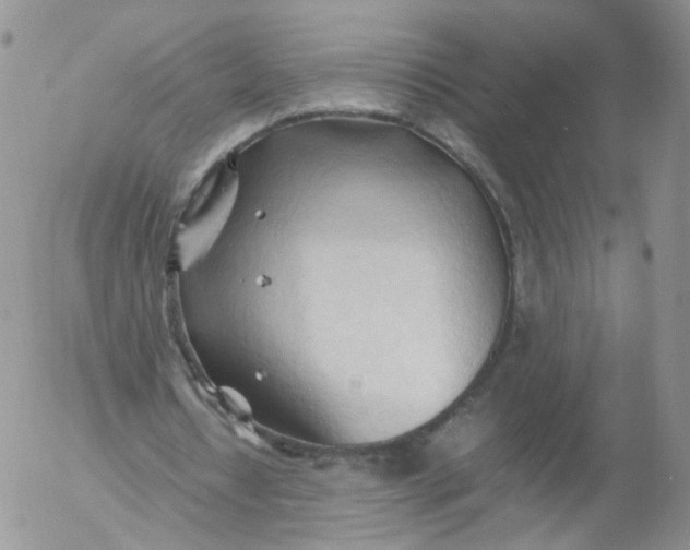 X0000053090434200508012036