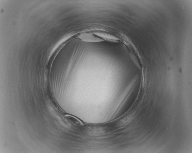 X0000053090435200508012036