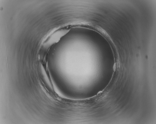 X0000053090436200508012036