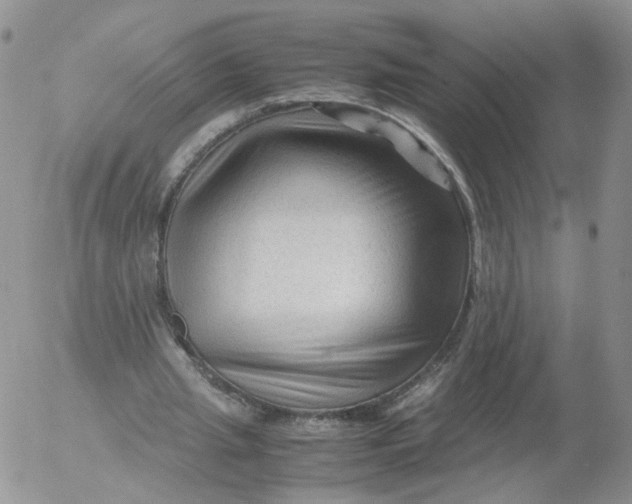 X0000053090437200508012036