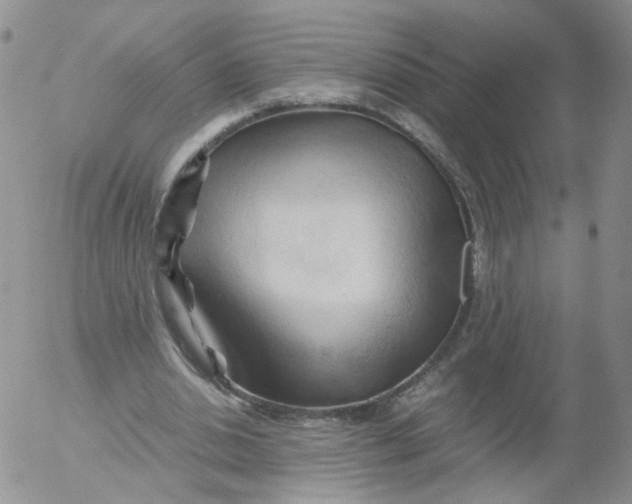 X0000053090438200508012036