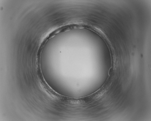 X0000053090439200508012036