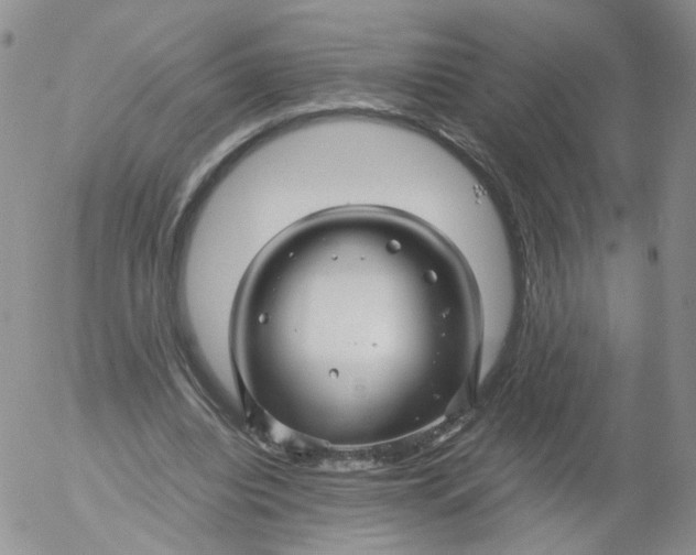 X0000053090440200508012036