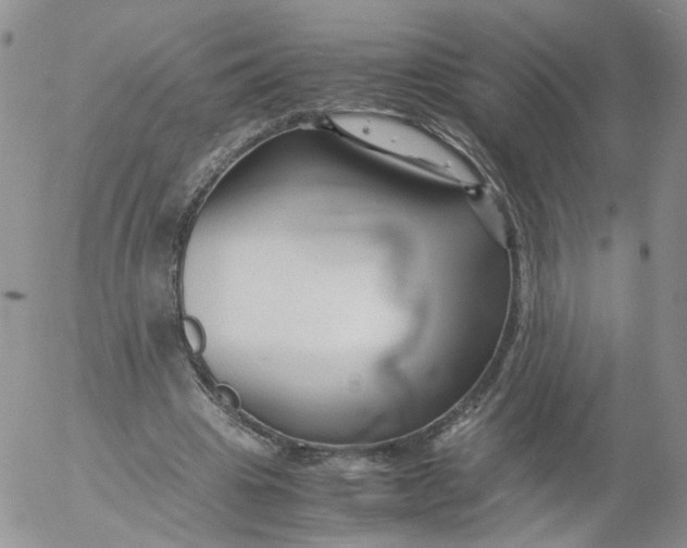 X0000053090441200508012036