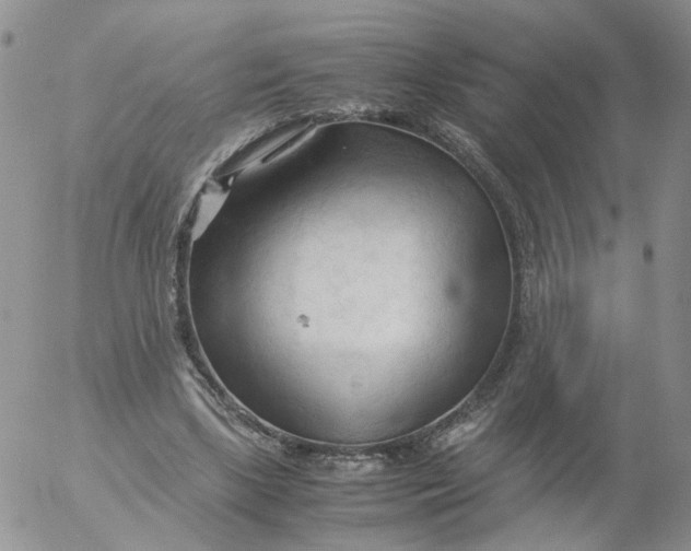 X0000053090443200508012036