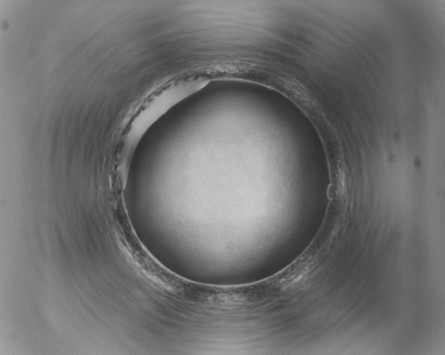 X0000053090444200508012037