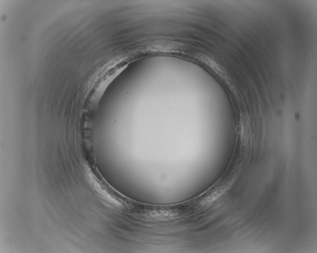 X0000053090445200508012037