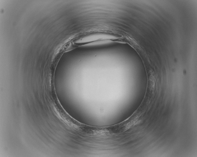 X0000053090446200508012037