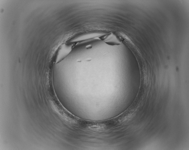 X0000053090447200508012037