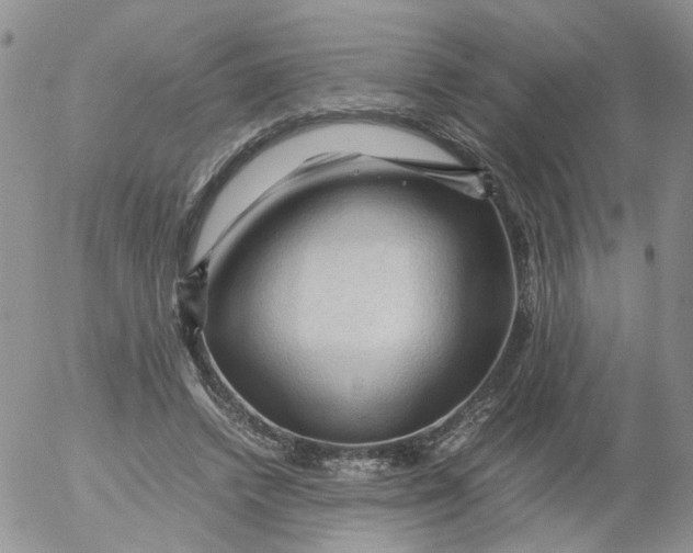 X0000053090448200508012037