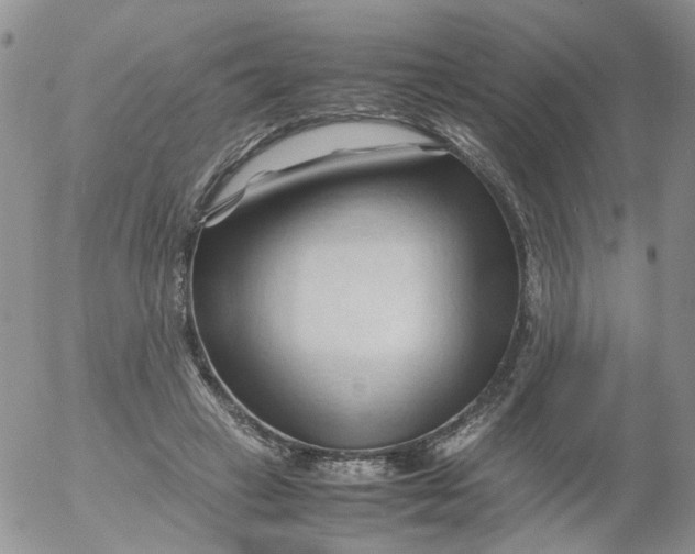 X0000053090449200508012037