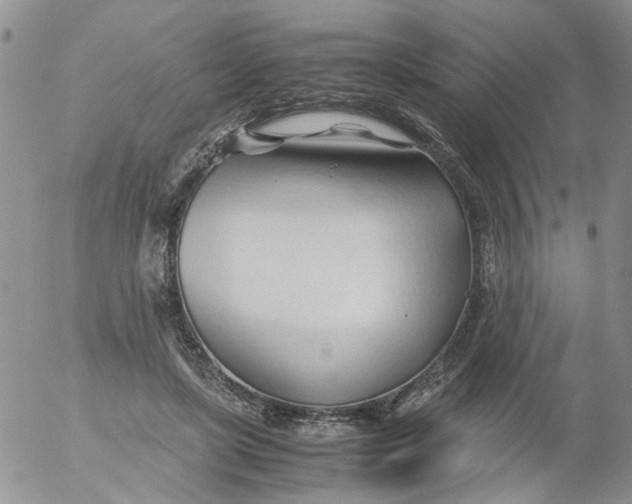 X0000053090451200508012037