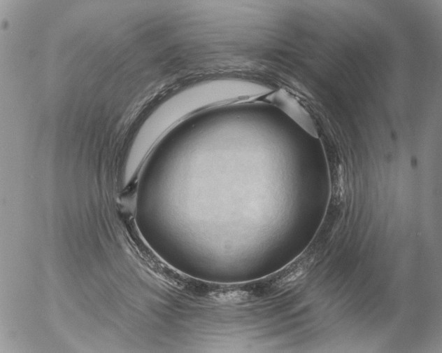 X0000053090452200508012037