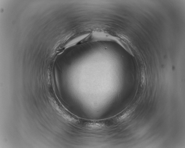 X0000053090453200508012037