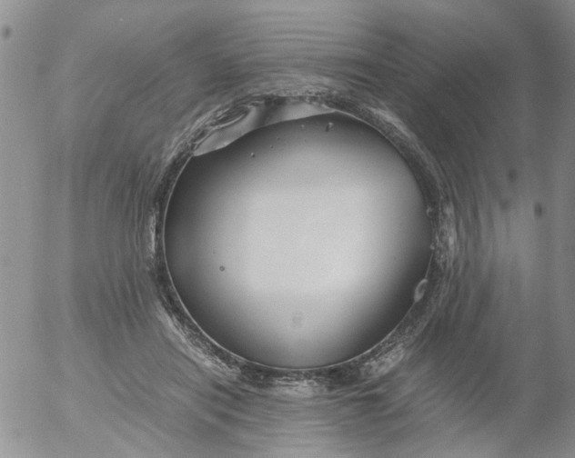 X0000053090454200508012037