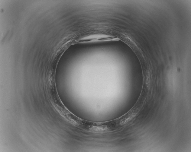 X0000053090455200508012037