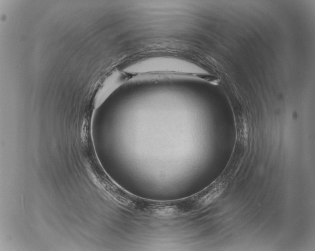 X0000053090456200508012037