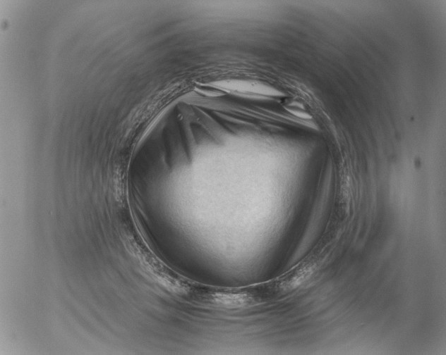 X0000053090457200508012037