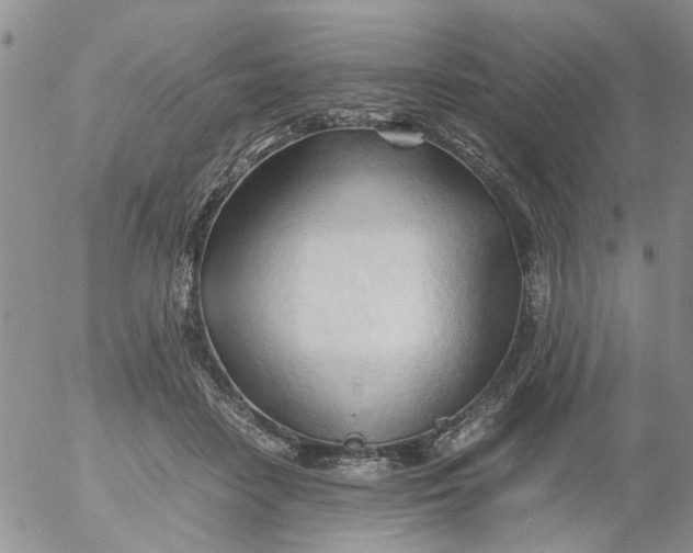 X0000053090458200508012037