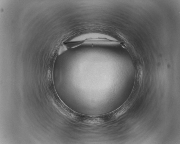 X0000053090459200508012037