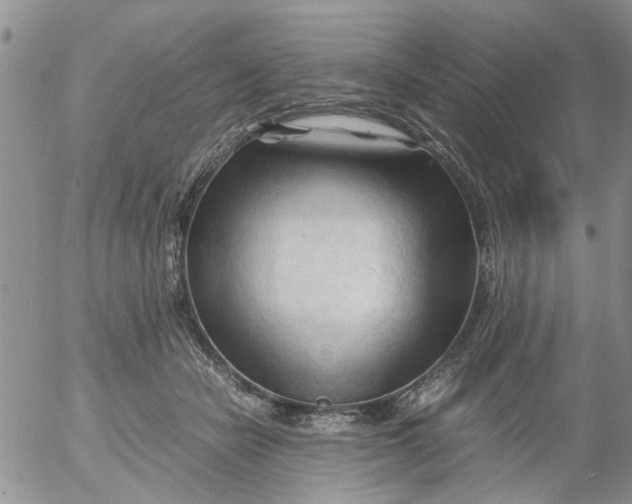 X0000053090462200508012037