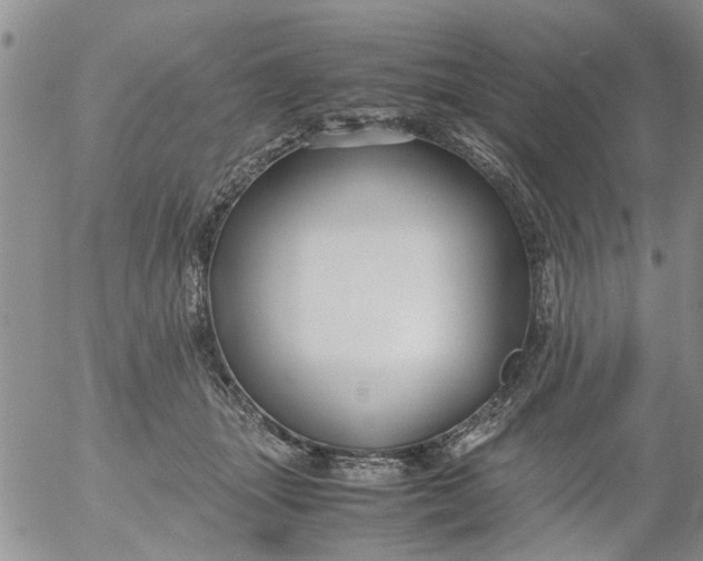 X0000053090463200508012037