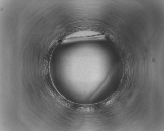 X0000053090464200508012037