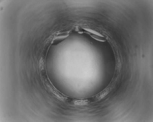 X0000053090465200508012037