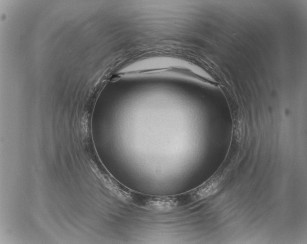 X0000053090466200508012037