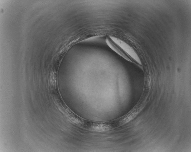 X0000053090467200508012037