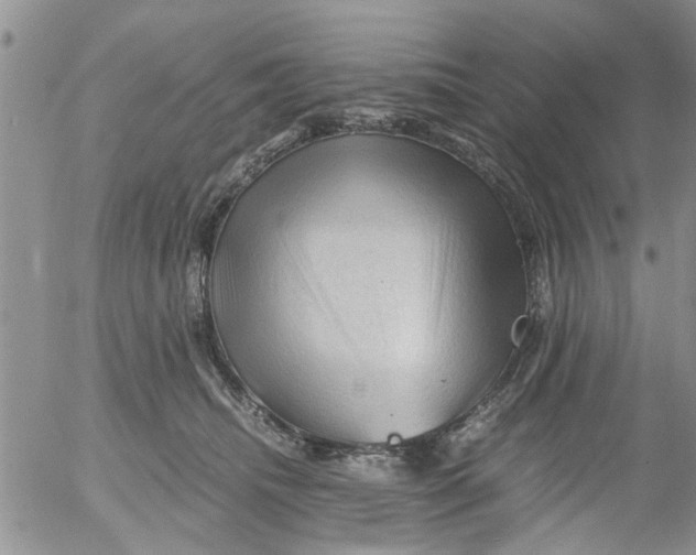 X0000053090468200508012037