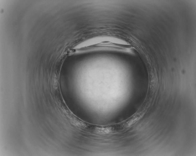 X0000053090469200508012037