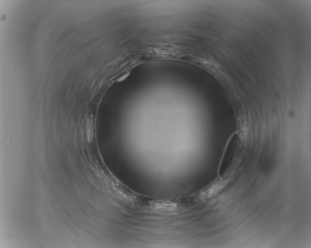 X0000053090471200508012037