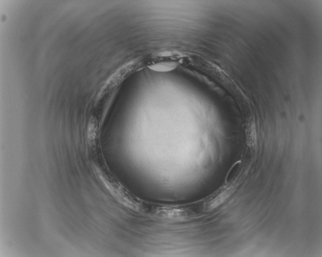 X0000053090472200508012037