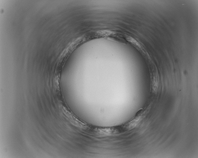 X0000053090473200508012037