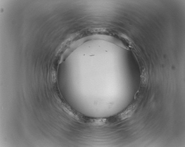 X0000053090474200508012037