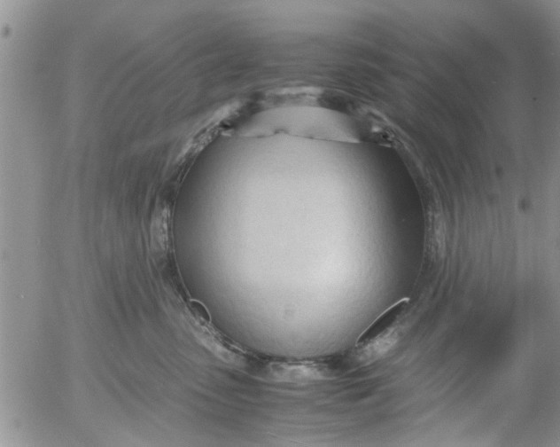 X0000053090475200508012037